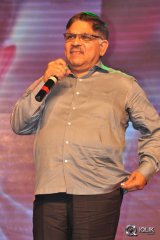 Sarrainodu Movie Blockbuster Function